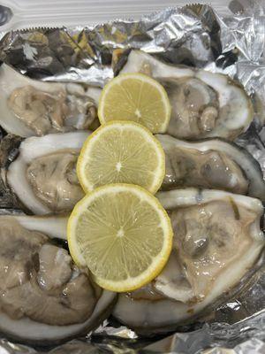 Eastern Shore Oysters on the Half Shell