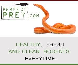 PerfectPrey.com LLC