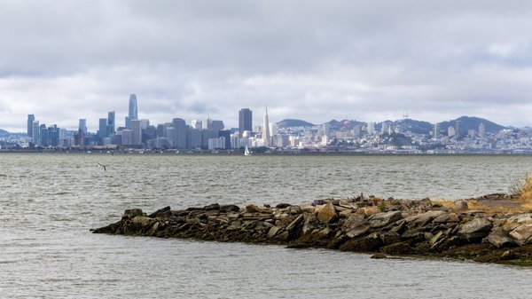 Albany State Marine Reserve