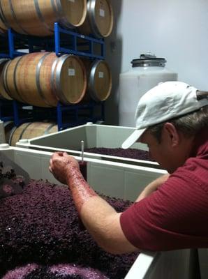 Rosalynd Winery makes small lots of pinot noir and chardonnay by hand