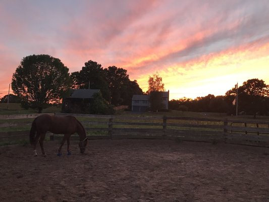 Round pen