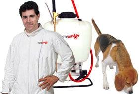 Bed Bug Extermination and Bed Bug Canine Inspectoins