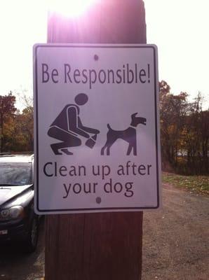 Clean up after your dog