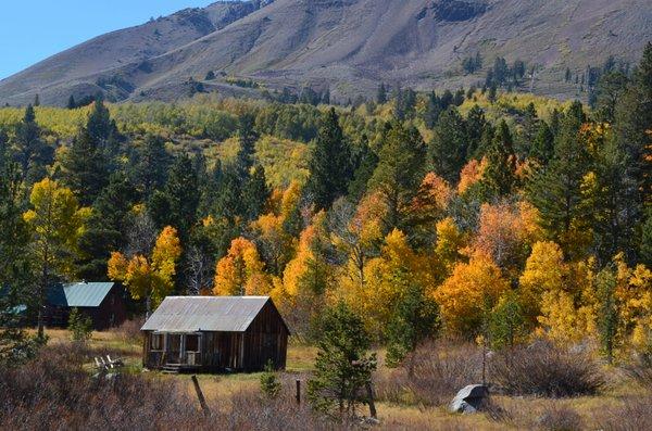 Hope Valley Fall colors