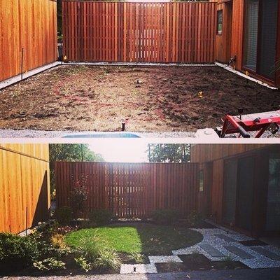 Before and after pics of a yard we did in Alameda CA.