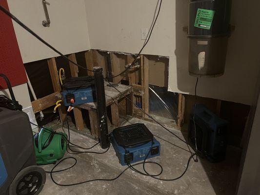 Ensuring my garage is dry and mold doesn't spread