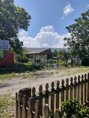 Tampa Heights Community Garden