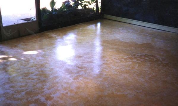 Concrete Stain and Urethane