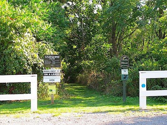 MaryFrances Bluebird Haven