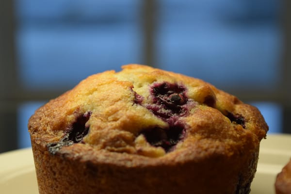 Blueberry muffin fresh out of the oven - made every morning from scratch.