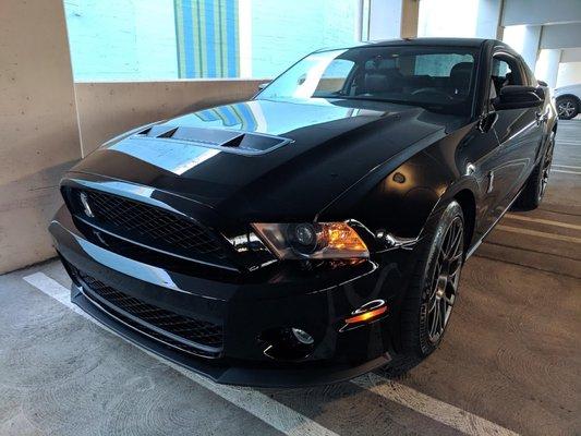 GT500 front bumper respray