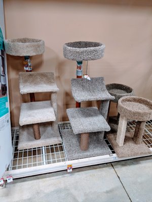 Cat Tree / Towers