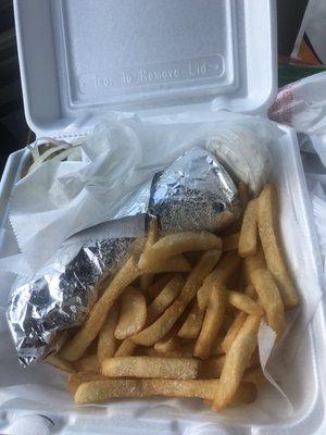 Gyro and fries