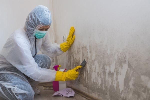 Mold removal