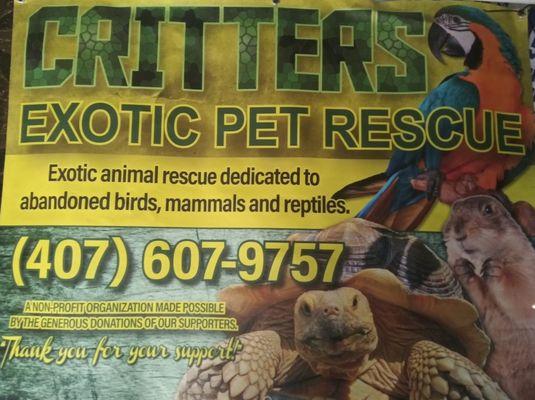 Critters exotic pet rescue