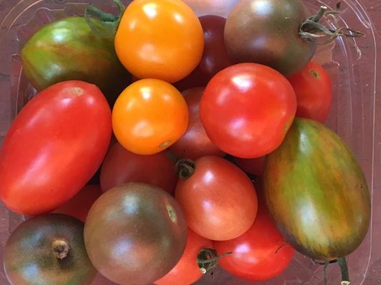 A rainbow collection of cherry and grape tomatoes