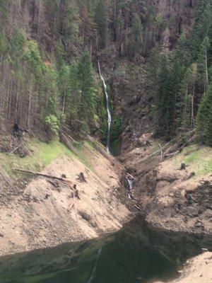 Cougar hot springs