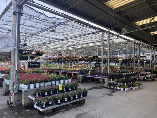 Beautiful selection of neatly organized plants! Very impressed