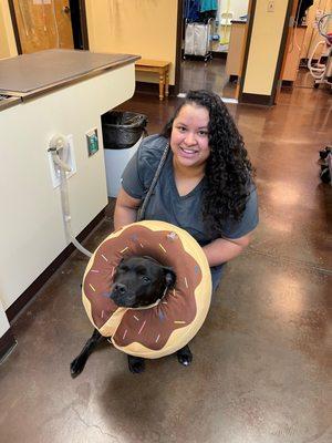 Nurse with a dog in a "donut" cone.