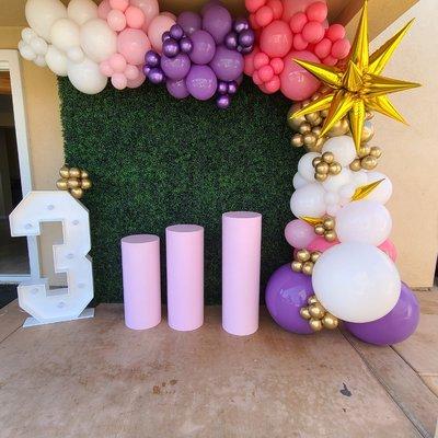 Need backdrop, balloon decor, tables,chairs,jumpers,waterslides,canopies or mechanical bulls. Contact us for your next party event