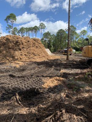 Pure clean pine mulch