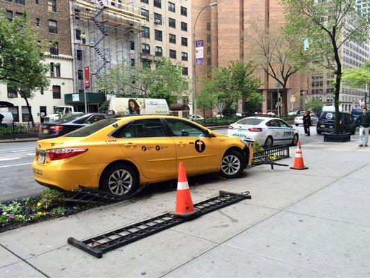 Oops My favorite Yellow Cab Photos posted  07/23/22