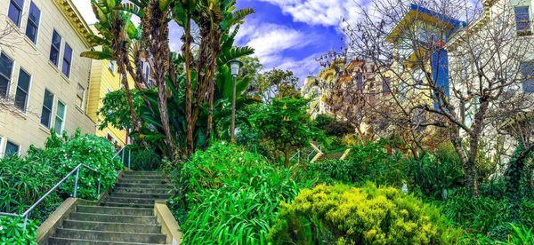 Telegraph Hill - Stairs on Vallejo and Montgomery