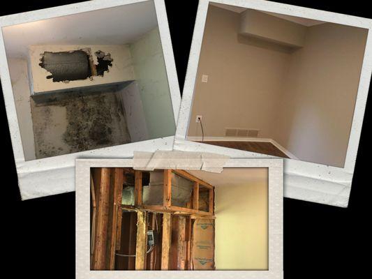 Full Mold Remediation and Restoration