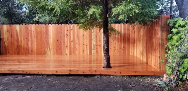 Deck and fence with stain