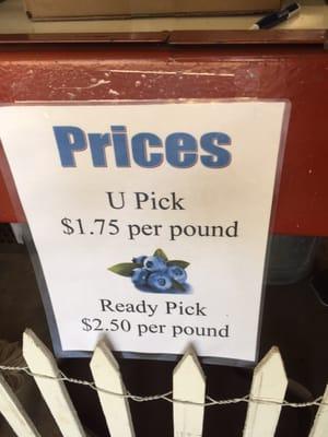 Great prices!