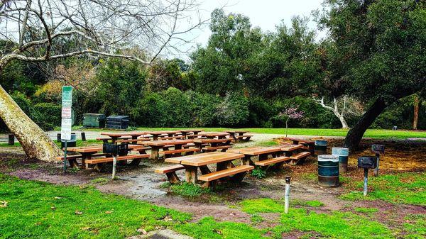 Picnic Area #1.  12 tables and BBQ pits.  E-mail us at rusticcanyon.rc@lacity.org for reservations.