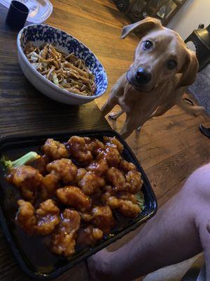 S1. General Tso's Chicken w/ 32.Plain Lo Mein Ft professional beggar.