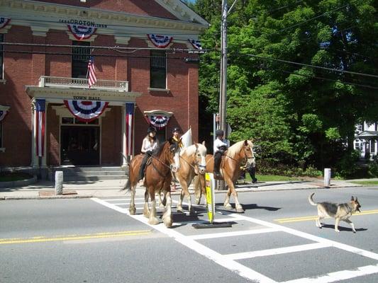 Helene's Stables