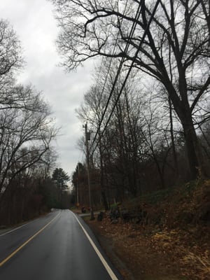 Town Of Sherborn -- Maple Street, Sherborn