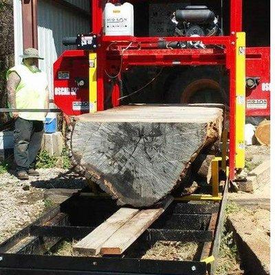 Rincks Sawmilling And Or Lumber Drying