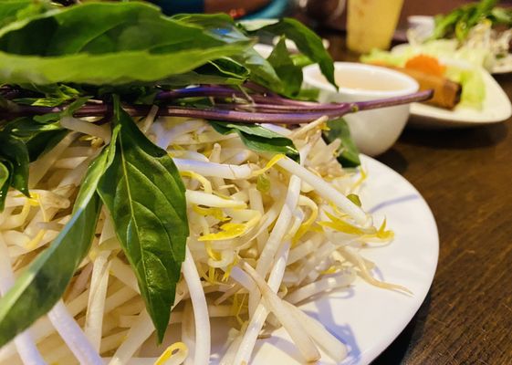 Condiments for your pho