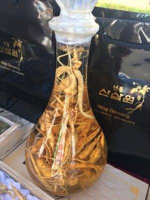 Ginseng in a bottle- ginseng wine?