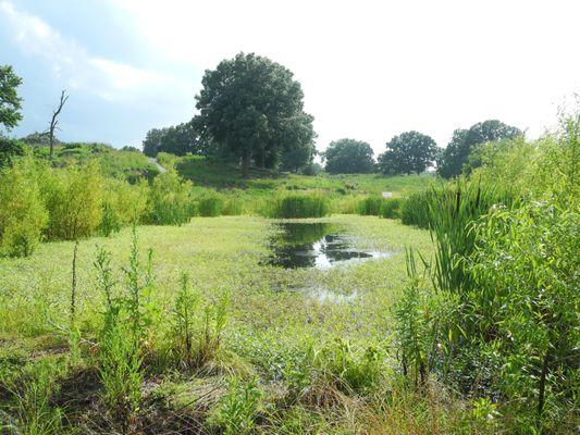 T.O. Fuller State Park