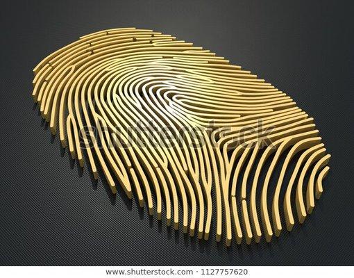 Live Scan Fingerprint