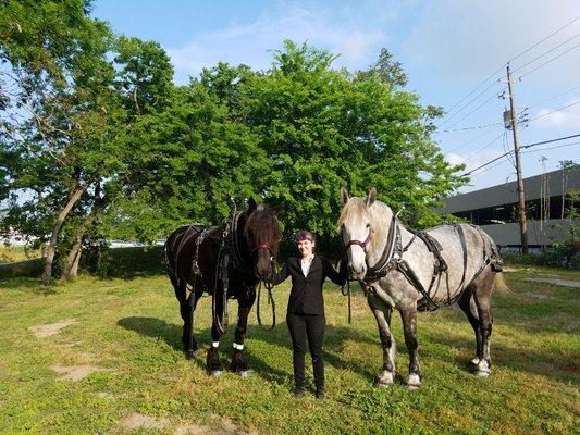 The Capitol Carriage team at your service! From left to right: Pete, Schuyler, and Cody.