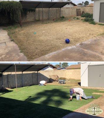 New Sod Install