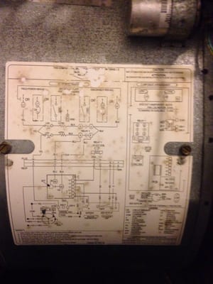 Micro bacterial growth on the blower fan inside the air handler..