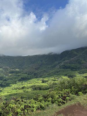 Kolowalu Trail