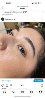 Brows by feryal