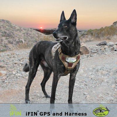 iFIN™ GPS tracking system and harness.