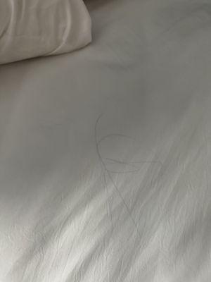 Pen stain on sheets