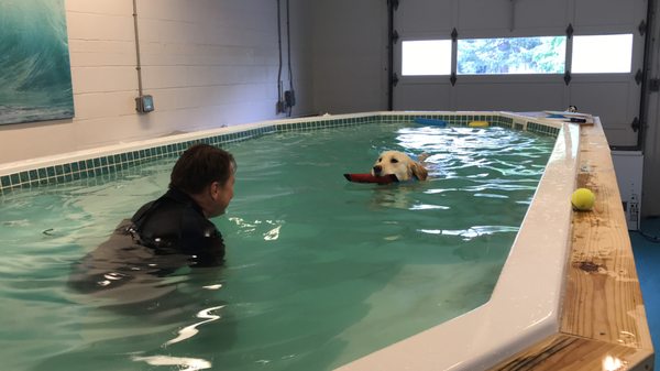 Surf Dog Swim Spa