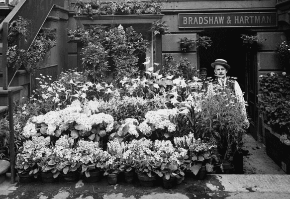 Stroll along sidewalks that have paved the way for many, transforming humble beginnings into lives filled with brightness and color.