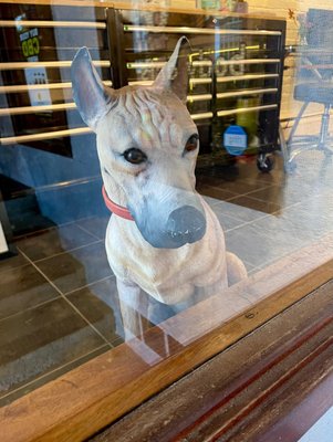 Doggo in the window