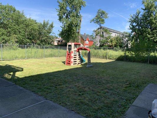 Clean up. This yard was as tall as the other side of the fence.